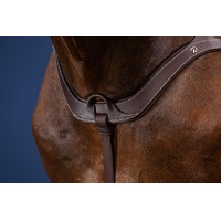 Anatomisches Vorderzeug US Collection by Dy'on Braun