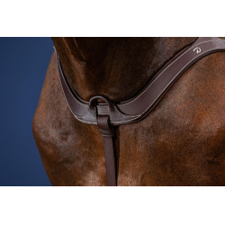 Anatomisches Vorderzeug US Collection by Dy'on Braun