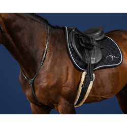 Yoke US Collection by Dy'on Schwarz