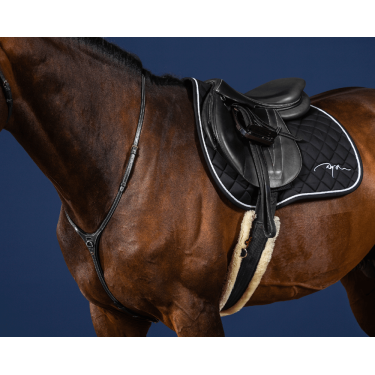 Yoke US Collection by Dy'on Schwarz