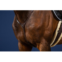 Yoke US Collection by Dy'on Braun