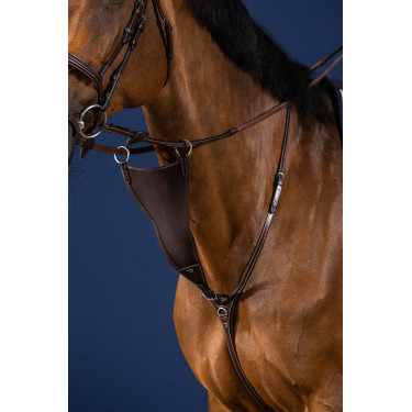 Elastischer Martingalgabel Voll US Collection by Dy'on Braun