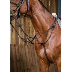 Martingal mit Ringen Working by Dy'on Martingal mit Ringen Working by Dy'on