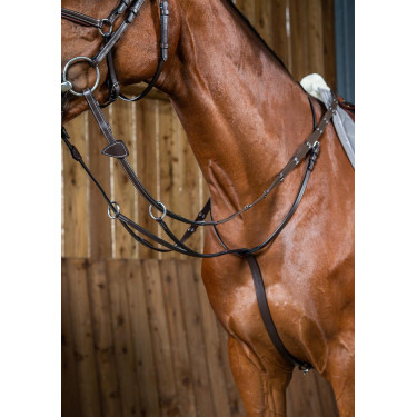 Martingal mit Ringen Working by Dy'on Martingal mit Ringen Working by Dy'on