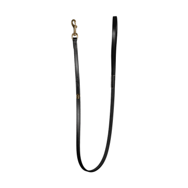 Lederhundehalsband Klassisch Dy'on Schwarz