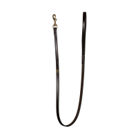 Lederhundehalsband Klassisch Dy'on Braun