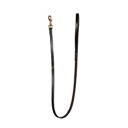 Lederhundehalsband Klassisch Dy'on Braun