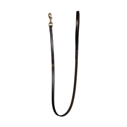 Lederhundehalsband Klassisch Dy'on Braun