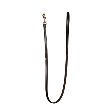 Lederhundehalsband Klassisch Dy'on Braun