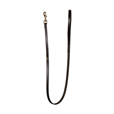 Lederhundehalsband Klassisch Dy'on Braun