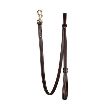 Verstellbare Hundeleine Dy'on Braun