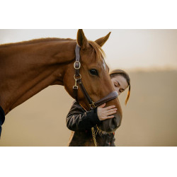 Lederhalfter D Collection by Dy'on Braun Lederhalfter D Collection by Dy'on Braun