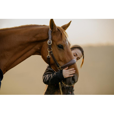 Lederhalfter D Collection by Dy'on Braun Lederhalfter D Collection by Dy'on Braun