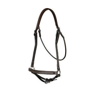 Putzhalfter Working By Dy'on Braun