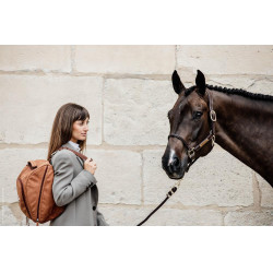 Helmtasche Chestnut Grooming Deluxe by Kentucky