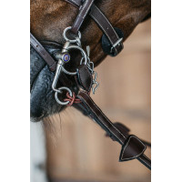 Pelham Court Riemen Dy'on Braun