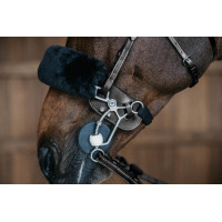 Protection de Hackamore Dy'on Noir