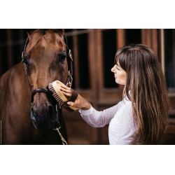 Weiche Bürste mit sanften Borsten Grooming Deluxe by Kentucky Weiche Bürste mit sanften Borsten Grooming Deluxe by Kentucky
