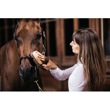 Weiche Bürste mit sanften Borsten Grooming Deluxe by Kentucky Weiche Bürste mit sanften Borsten Grooming Deluxe by Kentucky