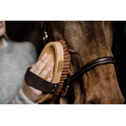 Weiche Bürste mit sanften Borsten Grooming Deluxe by Kentucky Weiche Bürste mit sanften Borsten Grooming Deluxe by Kentucky