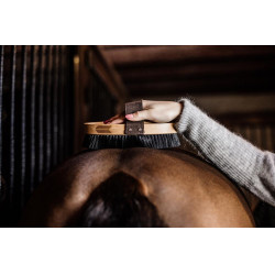Bürste mit harten Borsten Grooming Deluxe by Kentucky
