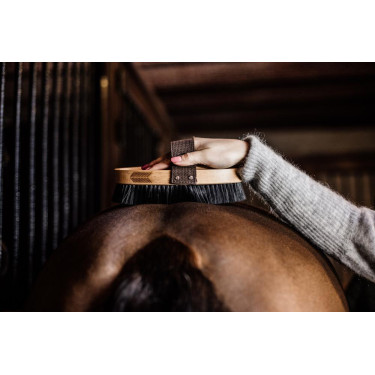 Bürste mit harten Borsten Grooming Deluxe by Kentucky