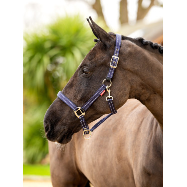 Halfter aus Neopren LeMieux Essential Yard Halfter aus Neopren LeMieux Essential Yard