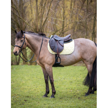 GEM Love Schabracke Gelb