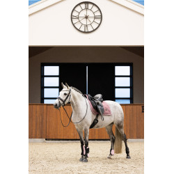 Fesselkopfschoner Imperial Riding Lovely Fesselkopfschoner Imperial Riding Lovely