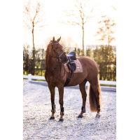 Fesselkopfschoner Imperial Riding Lovely Cappuccino Braun