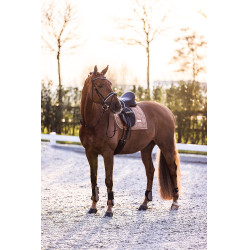 Fesselkopfschoner Imperial Riding Lovely Cappuccino Braun Fesselkopfschoner Imperial Riding Lovely Cappuccino Braun