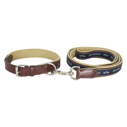 HV Polo Iconic Hundehalsband HV Polo Iconic Hundehalsband