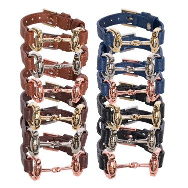 Armband großes Gebiss HV Polo Kate Set mit 12 Stück Multi Mehrfarbig