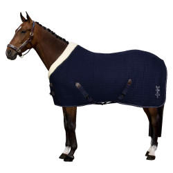 Stalldecke HV Polo Franka