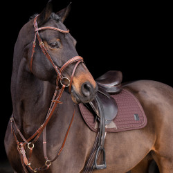 Martingal HV Polo Legacy