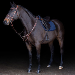 Martingal HV Polo Legacy Braun