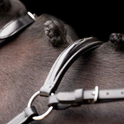 Martingal HV Polo Legacy Schwarz