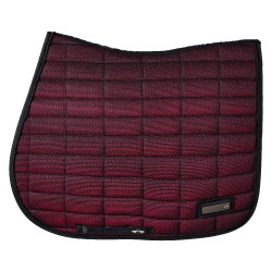 Satteldecke HV Polo Nouria GP