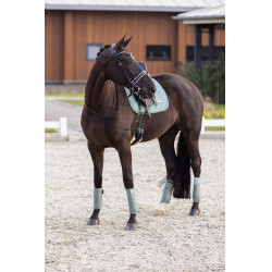 Satteldecke Imperial Riding Sky DR Satteldecke Imperial Riding Sky DR