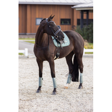 Satteldecke Imperial Riding Sky DR Satteldecke Imperial Riding Sky DR