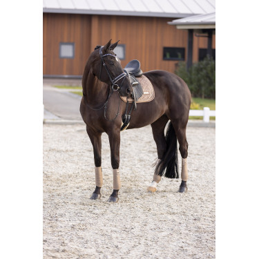 Satteldecke Imperial Riding Sky DR Cappuccino Braun