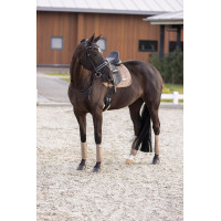 Satteldecke Imperial Riding Sky GP Cappuccino Braun