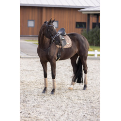 Satteldecke Imperial Riding Sky GP Cappuccino Braun