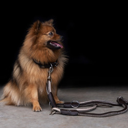 Hundehalsband HV Polo Franka Rope Braun / Beige Hundehalsband HV Polo Franka Rope Braun / Beige