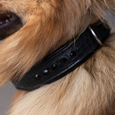 Hundehalsband Imperial Riding Florida Hundehalsband Imperial Riding Florida