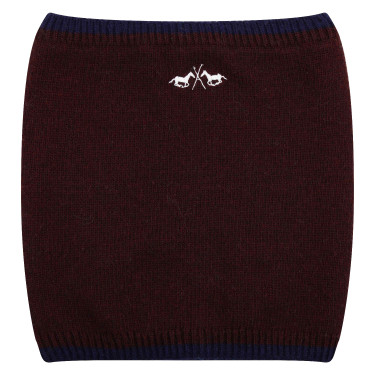 Schlauchschal HV Polo Tess