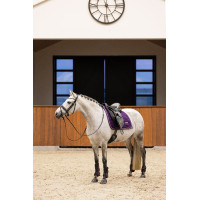 Guêtres Imperial Riding Lovely Vert sauge Guêtres Imperial Riding Lovely Vert sauge