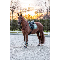 Guêtres Imperial Riding Lovely Vert sauge