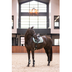 Gamaschen Imperial Riding Lovely Salbeigrün Gr&uuml;n