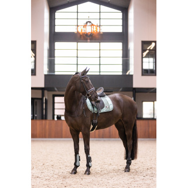 Gamaschen Imperial Riding Lovely Salbeigrün Gr&uuml;n